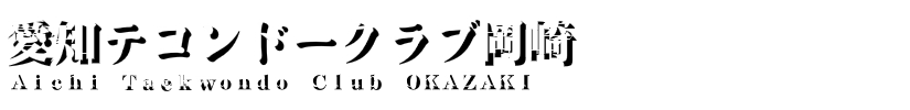 愛知テコンドークラブ岡崎